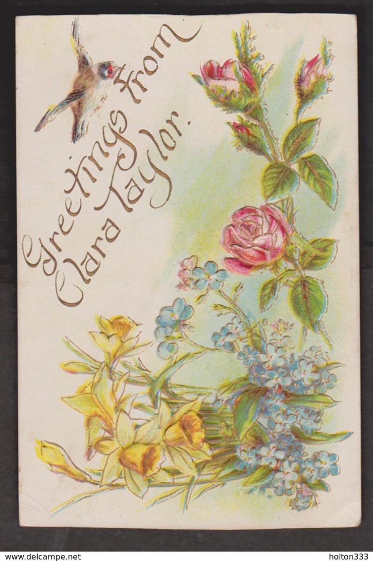 General Greetings - Greetings From Clara Taylor - Used C1910 - Gruss Aus.../ Gruesse Aus...