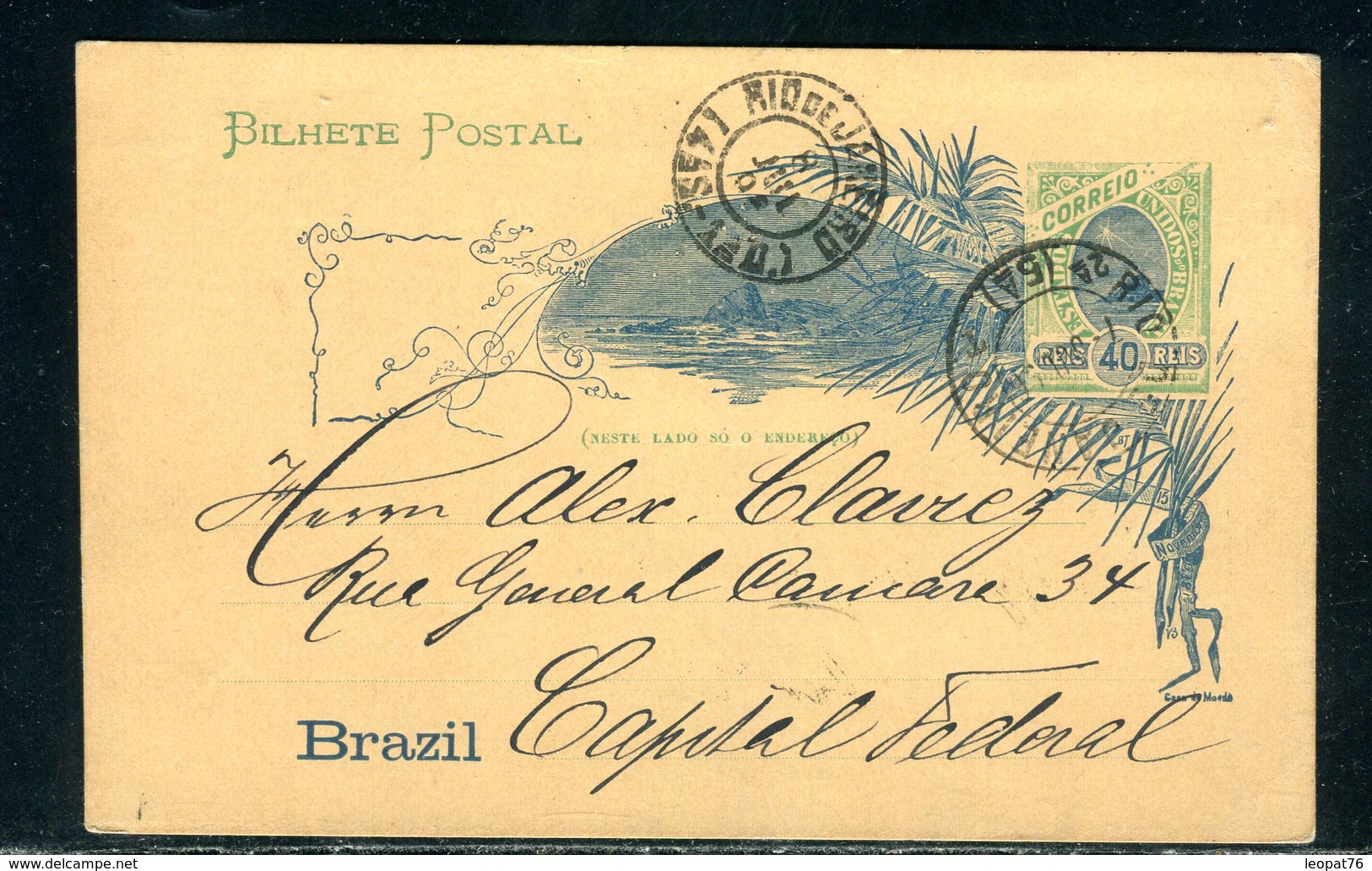 Brésil - Entier Postal De Rio De Janeiro En 1896 - Entiers Postaux