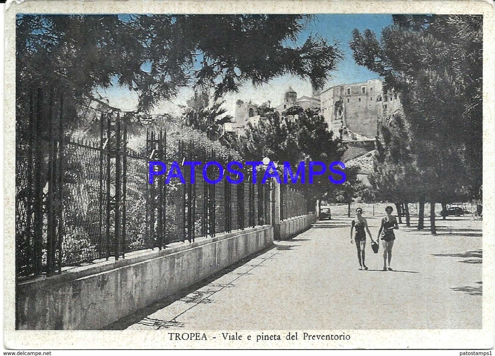 95845 ITALY TROPEA STREET & PREVENTORY PINEWOOD POSTAL POSTCARD - Altri & Non Classificati