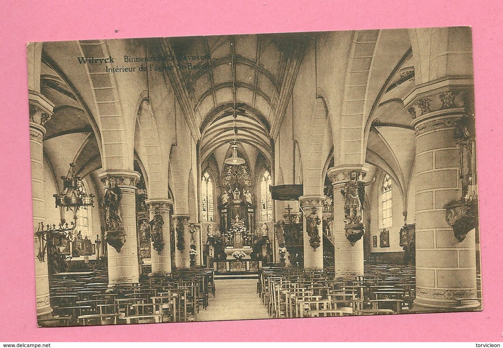 C.P. Wilrijk =  St. BAVO  Kerk  : Binnenzicht - Antwerpen