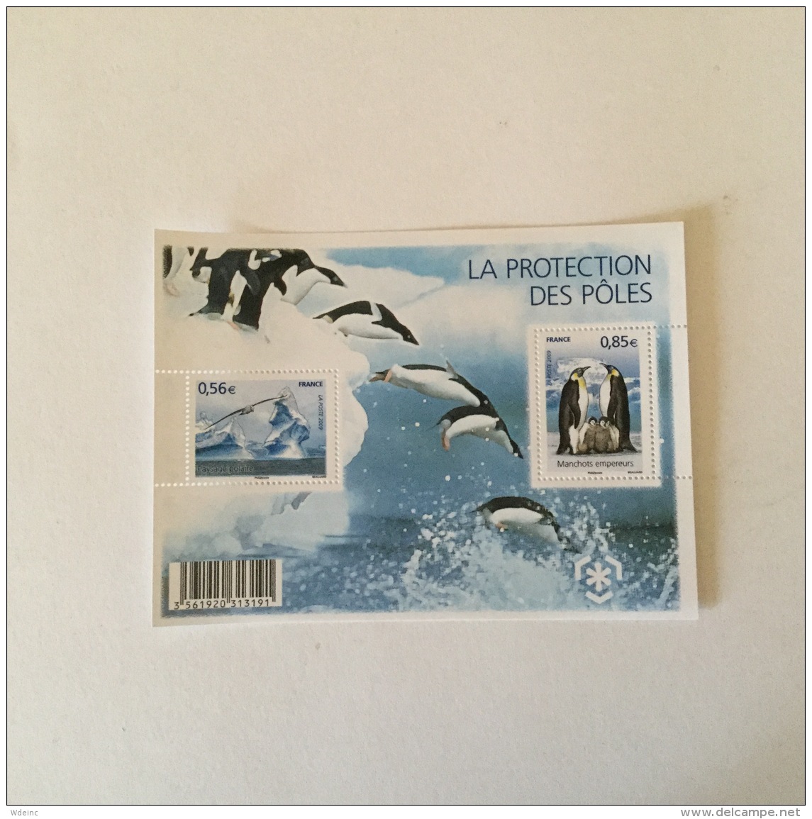 FRANCE 2009 Protection De Zones Polaires  Feuillet-M/S Superbe Neuf/MUH YV F44350 - Blocs Souvenir