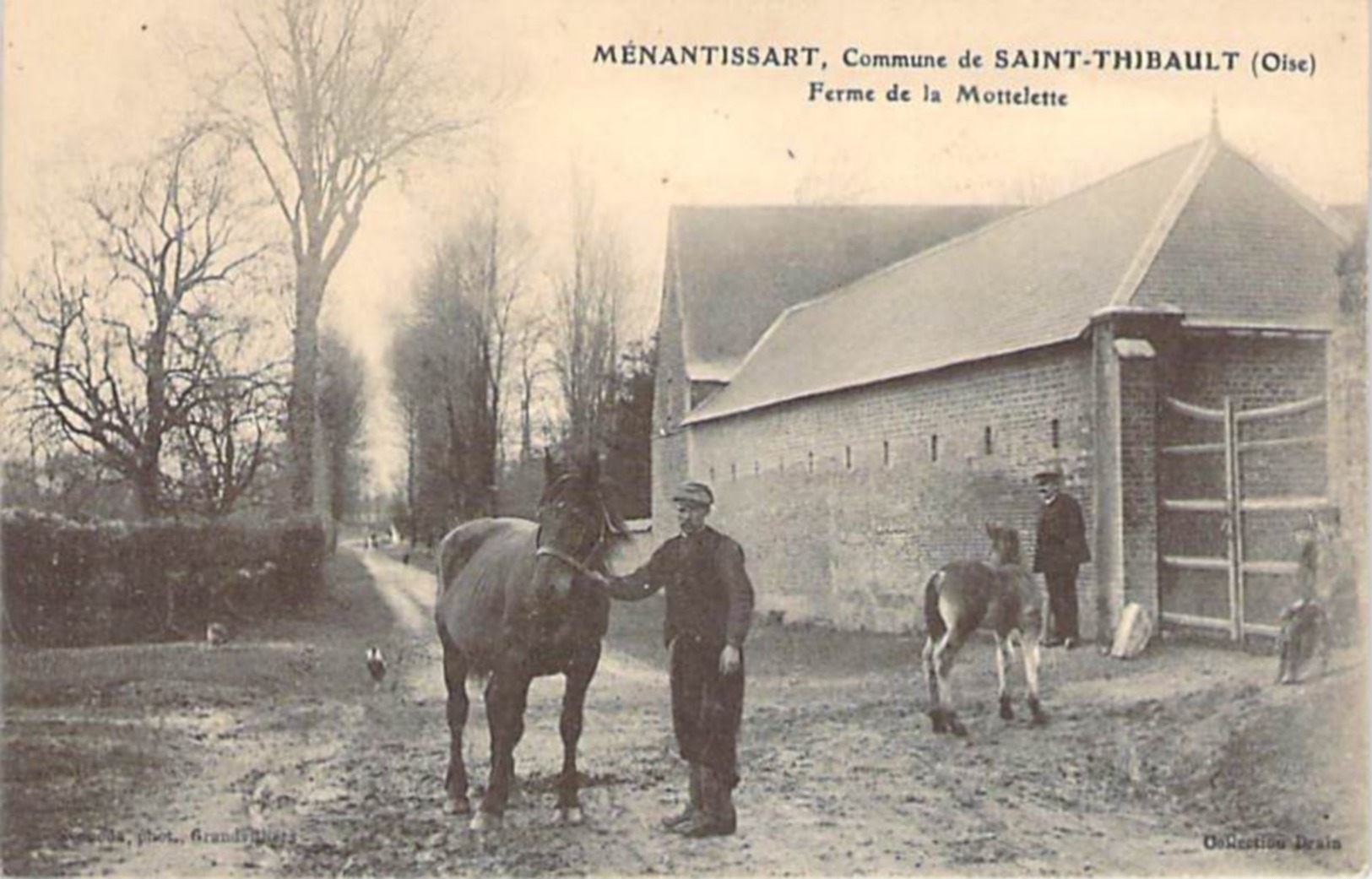 MENANTISSART - Commune De SAINT THIBAULT - Ferme De La MOTTELETTE - CHEVAUX - Oise - 60 - Autres & Non Classés