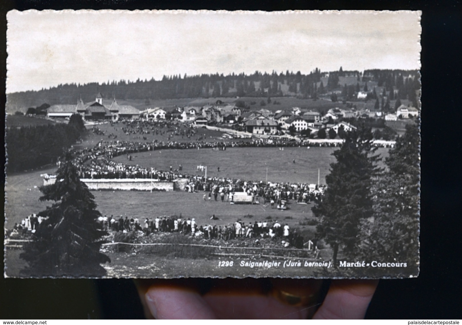 SAIGNELEGIER CONCOURS MARCHE - Saignelégier