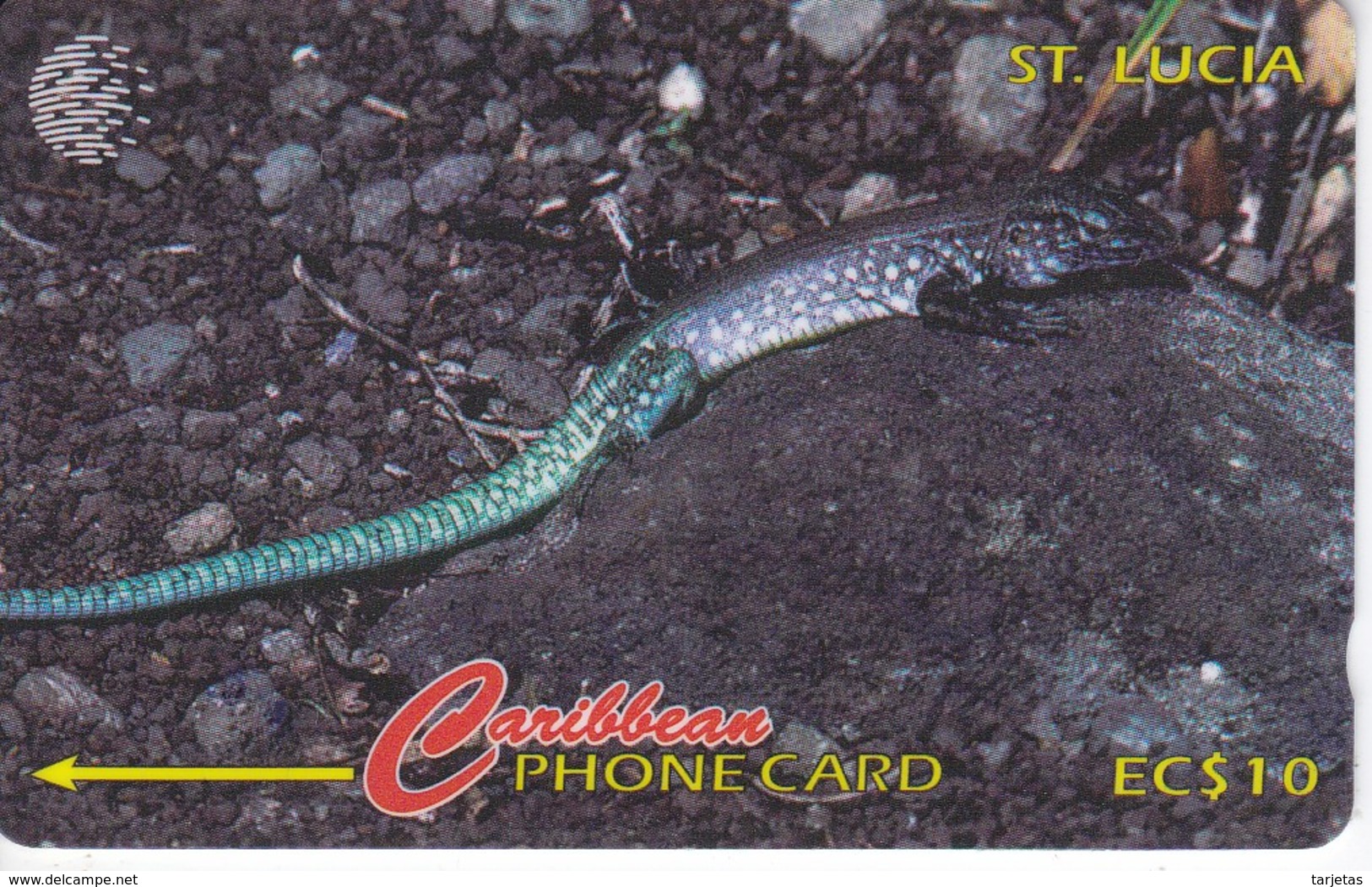 TARJETA DE ST. LUCIA DE UN LAGARTO (LIZARD) 137CSLA - Sainte Lucie