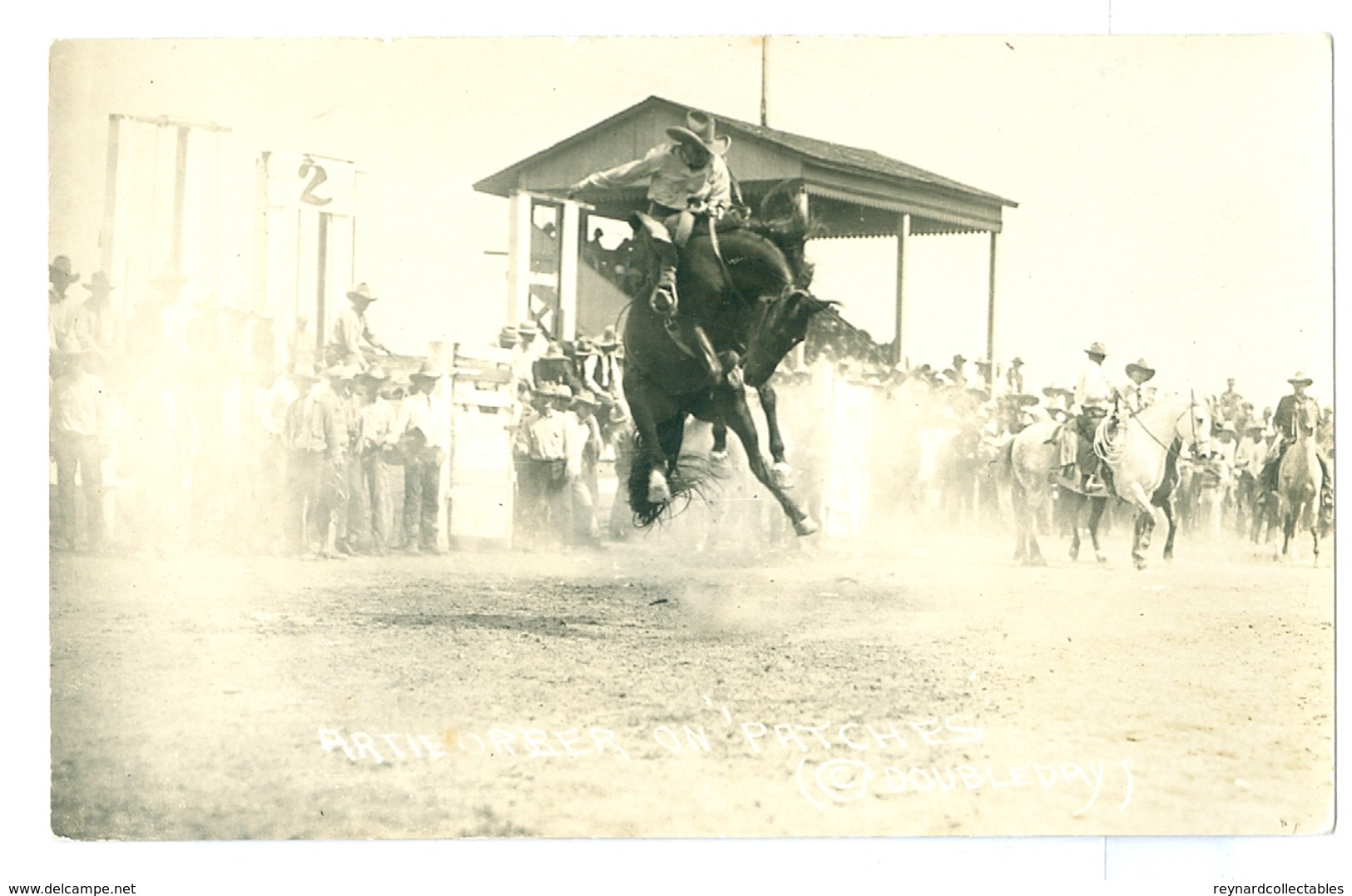 USA, Rodeo, Artie Orber On 'Patches' Doubleday. Real Photo Pc, Unused. - Horse Show