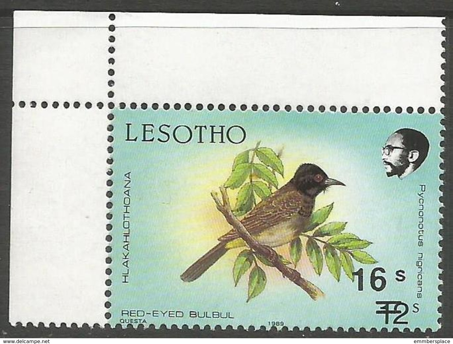 Lesotho  - 1990 Red-eyed Bulbul 16s/12s MNH **   SG 948 - Lesotho (1966-...)