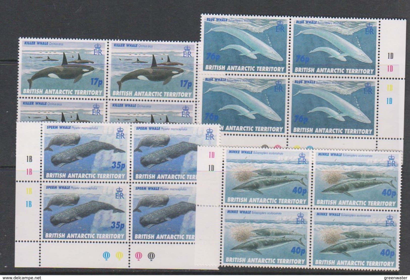 British Antarctic Territory (BAT) 1996 Whales 4v Bl Of 4  ** Mnh (39446D) - Ongebruikt