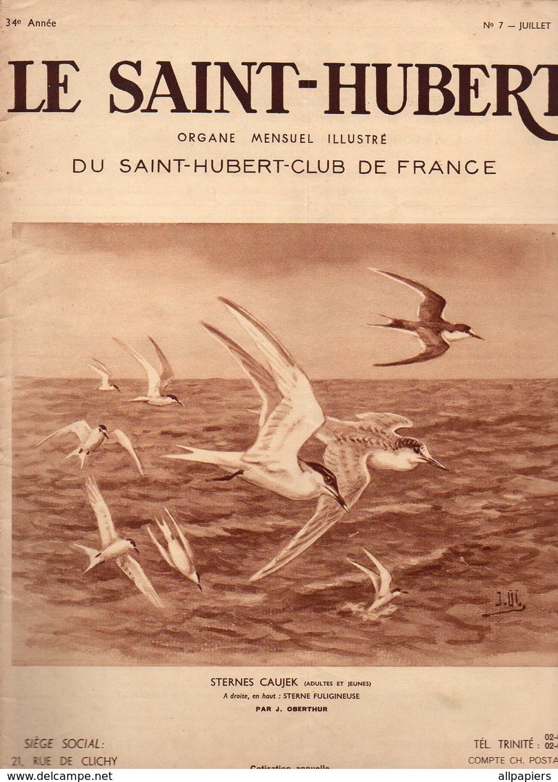 Le Saint-Hubert N°7 Les Cailles En Italie - Gibiers De Notre Pays - Protection De La Sauvagine - Croisillons Mixtes 1936 - Jagen En Vissen