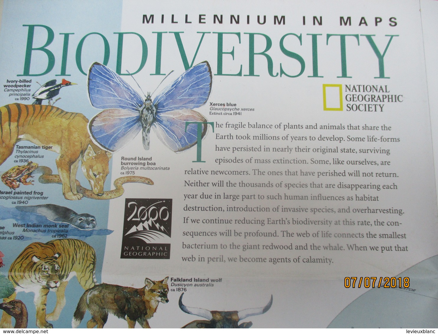 Carte D'Evolution Biologique/ Biodiversity/ Millenium In Maps/National Geographic Society/ 1998   PGC221 - Autres & Non Classés