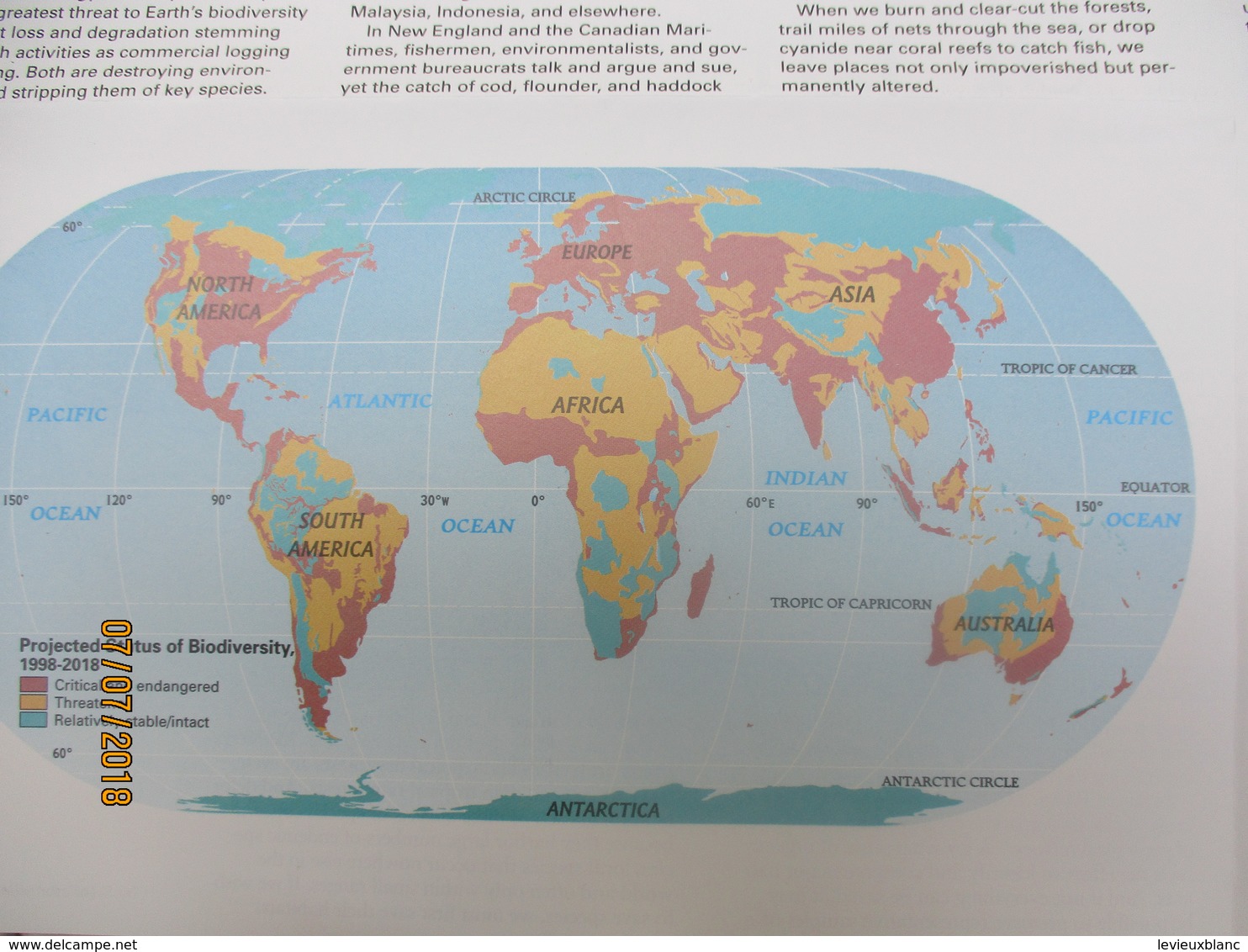 Carte d'Evolution Biologique/ Biodiversity/ Millenium in maps/National Geographic Society/ 1998   PGC221