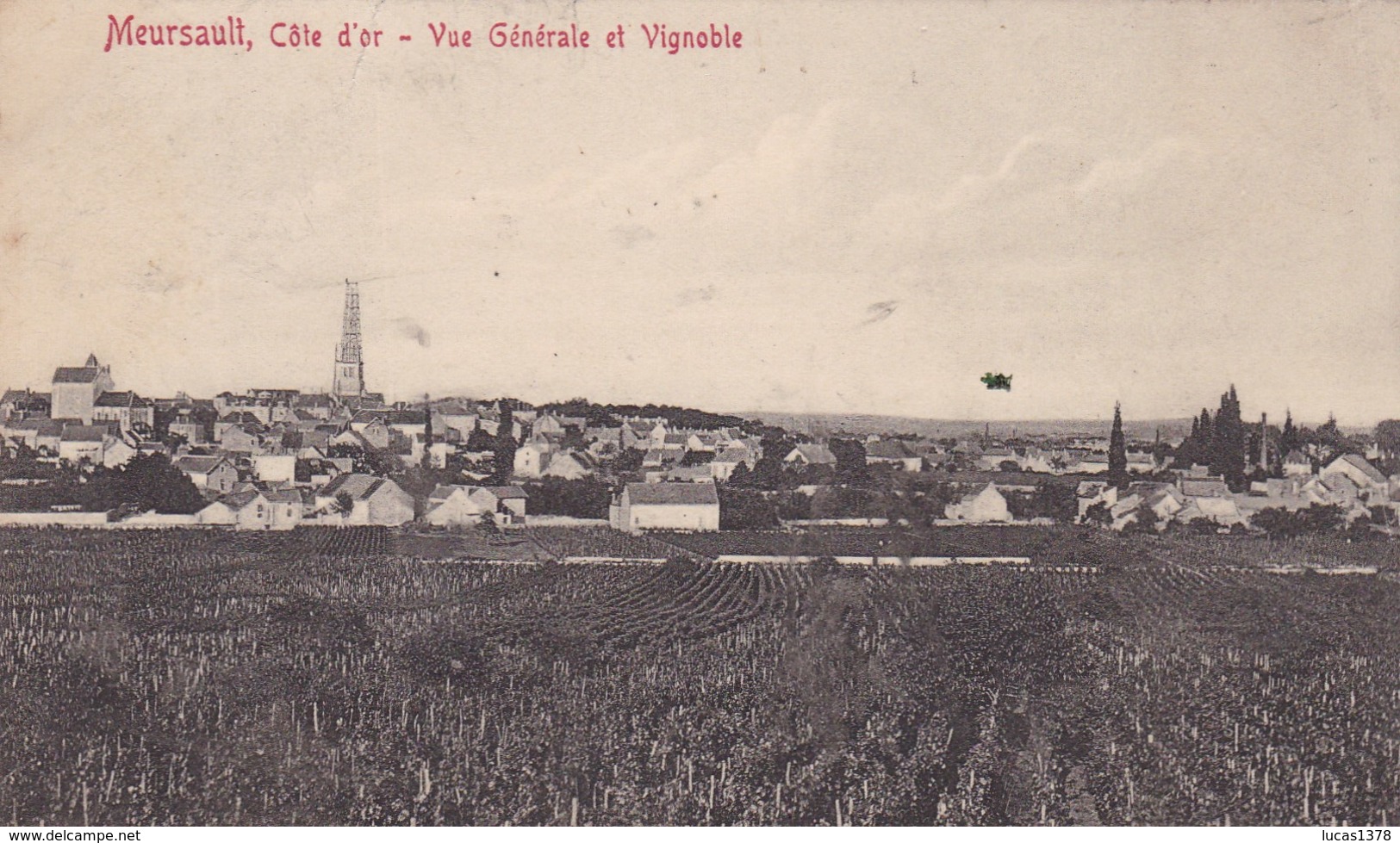 21 / MEURSAULT / VUE GENERALE ET VIGNOBLE - Meursault