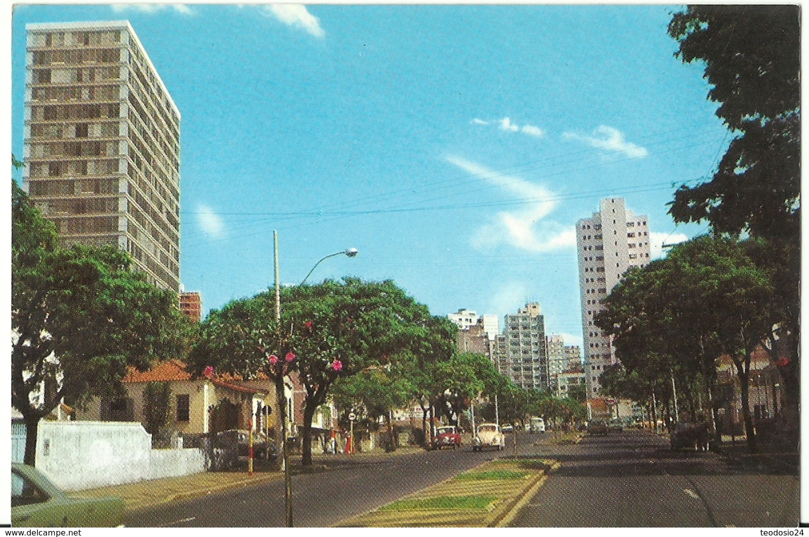 POSTAL BRASIL CAMPINAS AÑO 1980 - São Paulo