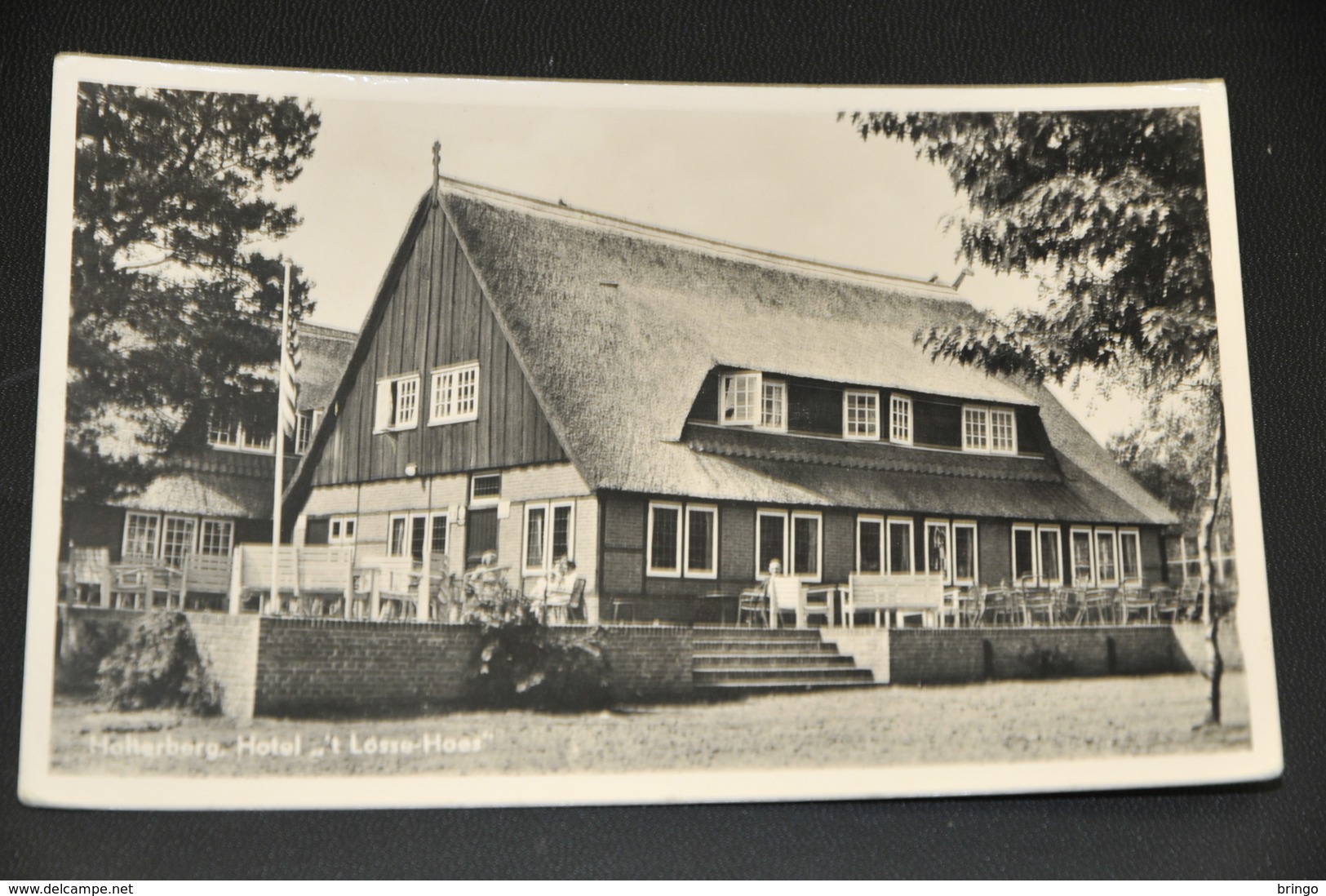 564-  Holterberg, 't Lösse Hoes - 1954 - Holten