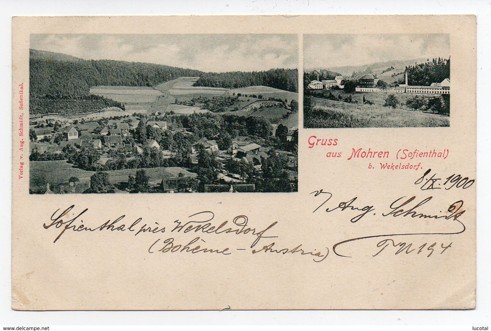 Tchéquie - Gruss Aus Mohren (Sofienthal) Près Wekelsdorf - 1900 - Signée Par L' Editeur Aug. Schmidt. - Tsjechië