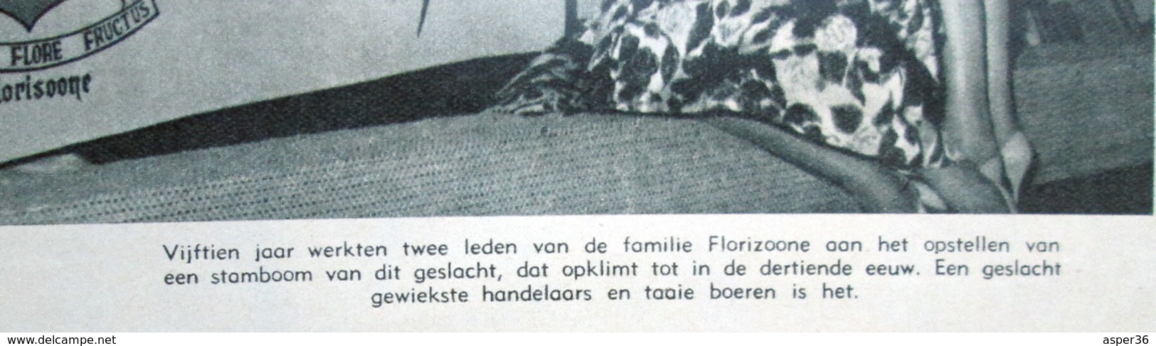 Tijdschrift Met Artikel "700 Leden Van De Familie Florizoone Vierden Te Adinkerke" 1959 - Collections