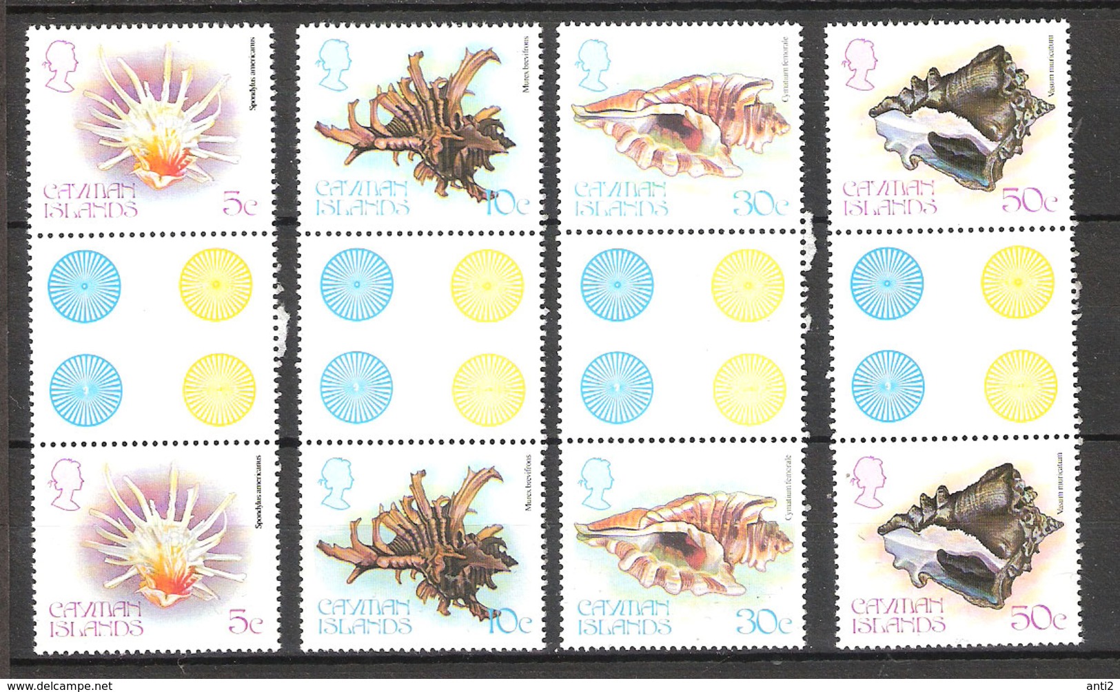 Cayman Islands  1980 Molluscs Of The Sea (I)  Mi 448-451 Gutter Pairs  MNH(**) - Cayman Islands