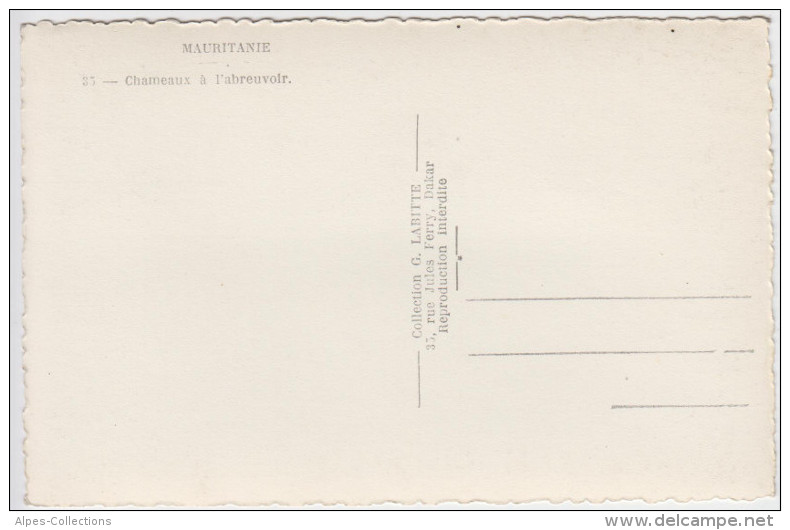 3281 - Cartes Postales Afrique - MAURITANIE - Mauritanie