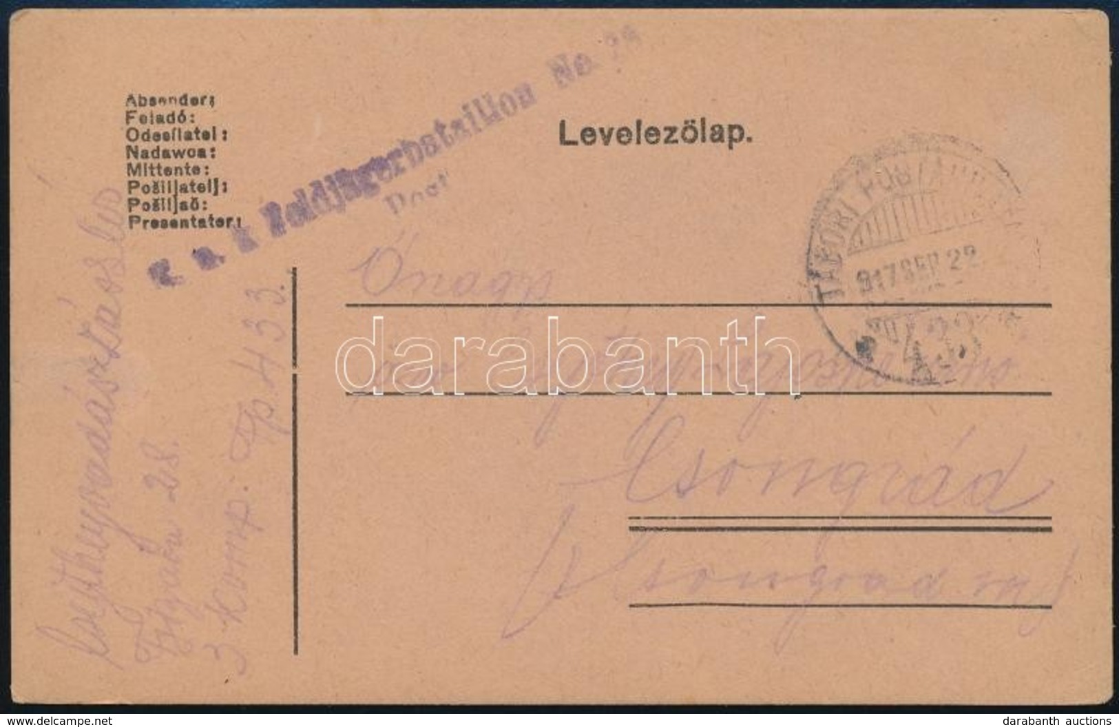 1917 Tábori Posta Levelez?lap 'K.u.k. Feldjägerbataillon No.28. Post' + 'TP 433 A' - Sonstige & Ohne Zuordnung
