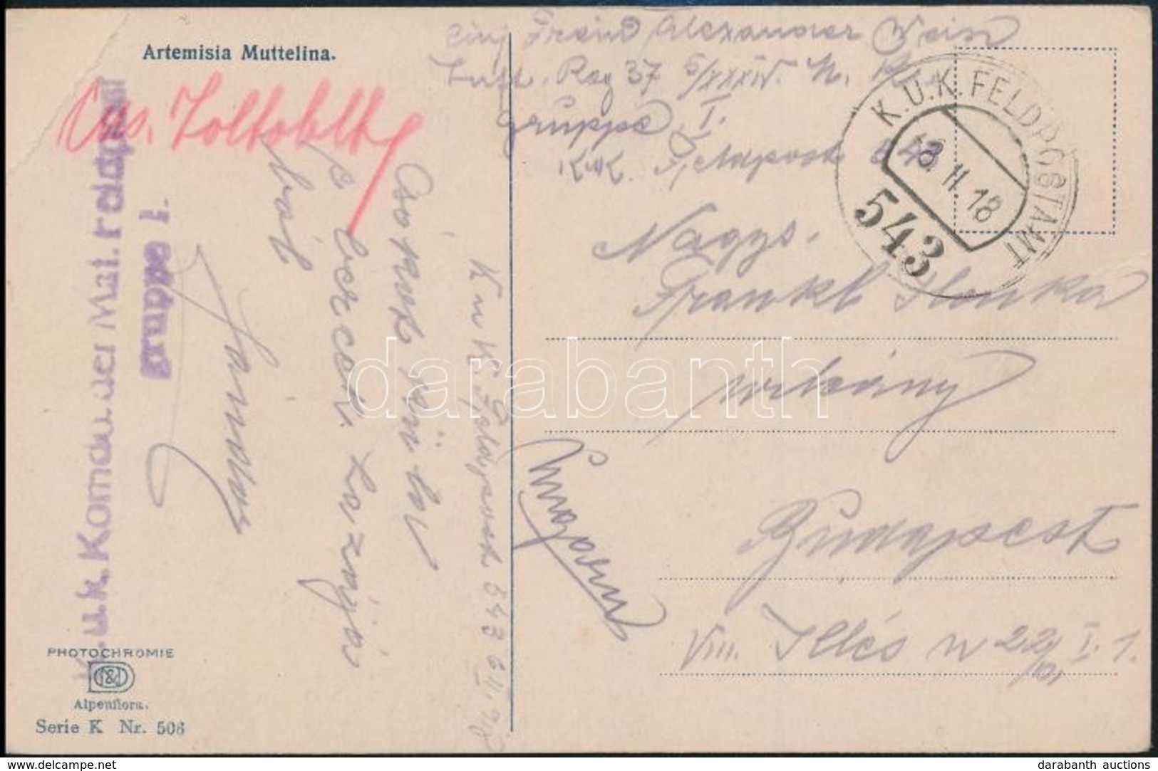 1918 Tábori Posta Képeslap / Field Postcard 'K.u.k. Komdo. Der Mat. Feldpost Gruppe I.' + 'FP 543' - Sonstige & Ohne Zuordnung