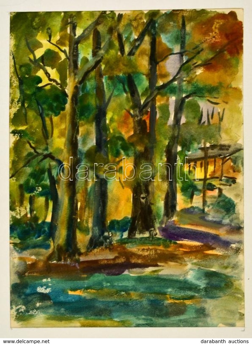 Jelzés Nélkül: Park Részlet. Akvarell, Papír, 38×28 Cm - Otros & Sin Clasificación