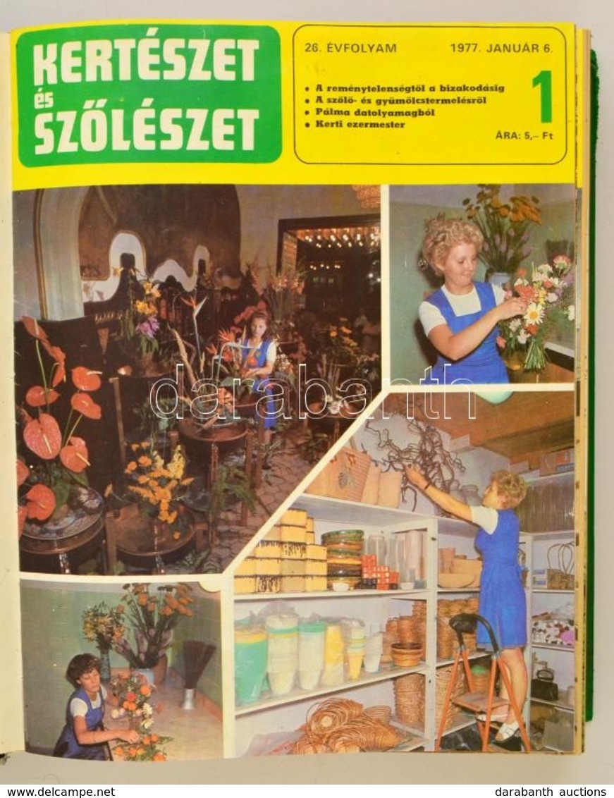 1977 Kertészet és Sz?lészet, Teljes évfolyam Bekötve, Jó állapotban. - Sin Clasificación
