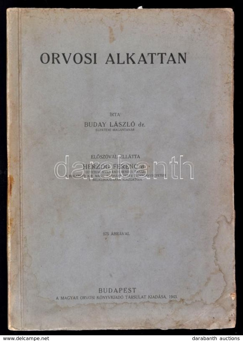 Dr. Buday László: Orvosi Alaktan. El?szóval Ellátta: Dr. Herzog Ferenc. Bp.,1943, Magyar Orvosi Könyvkiadó Társulat. Kia - Non Classés