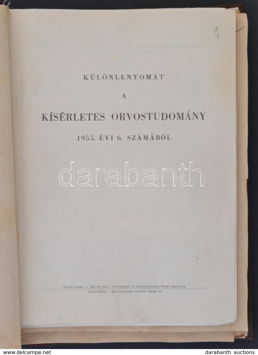 Cca 1955-1979 Különlenyomatok Gy?jteménye Különféle Orvosi Szakfolyóiratokból (Kísérletes Orvostudomány, Gyermekgyógyász - Sin Clasificación