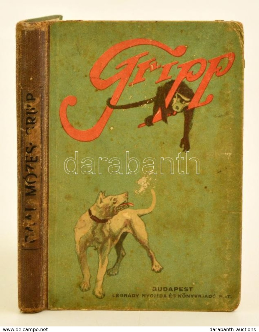 Cronstedt, Nils Fredrik: Gripp. Egy Kutya Kalandjai Afrikában. Bp., 1924, Légrády. Kicsit Laza, Kopott Félvászon Kötésbe - Sin Clasificación