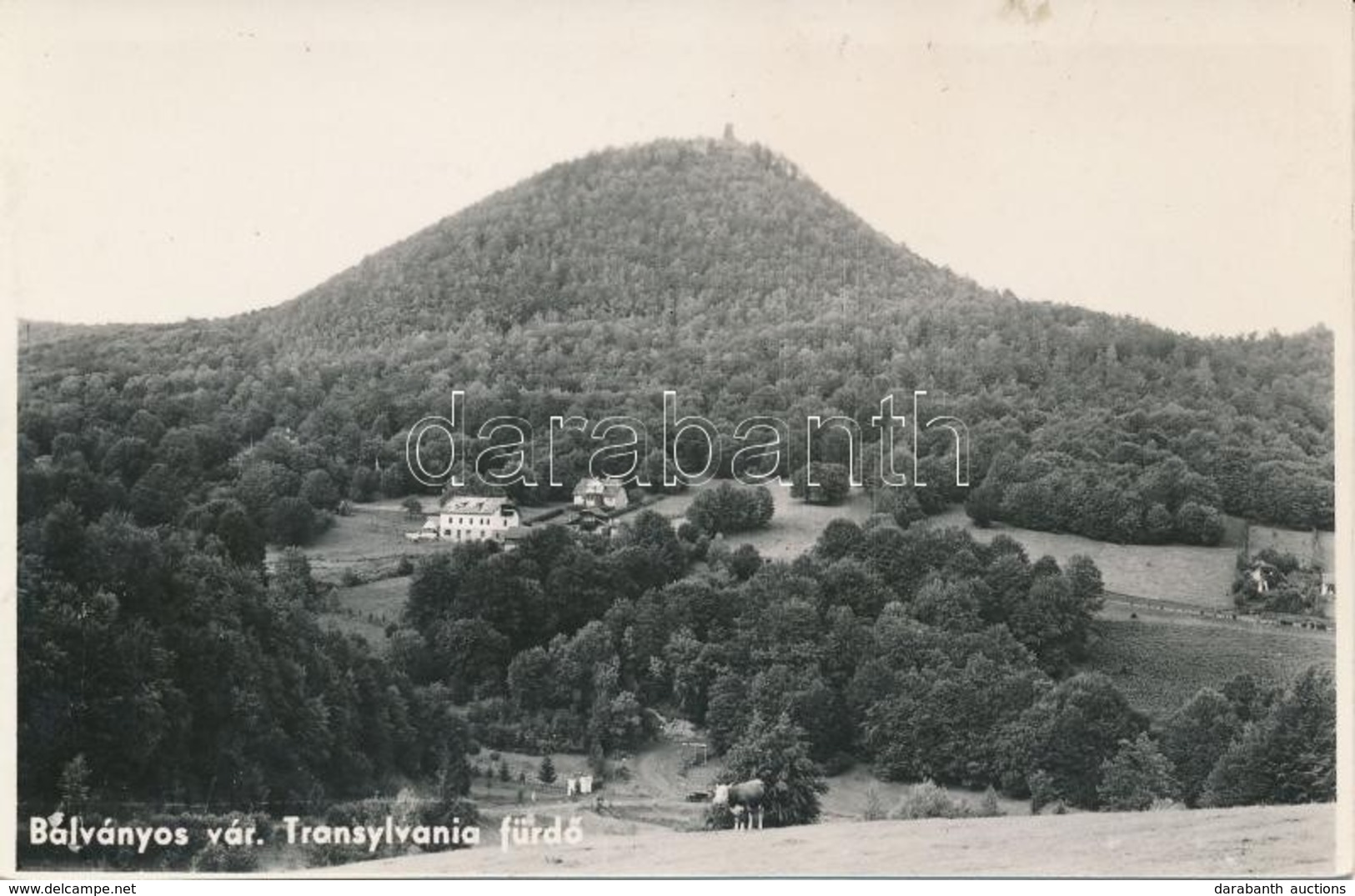 * T2 Bálványosvár, Cetatea Bálványos; Vár / Castle - Ohne Zuordnung