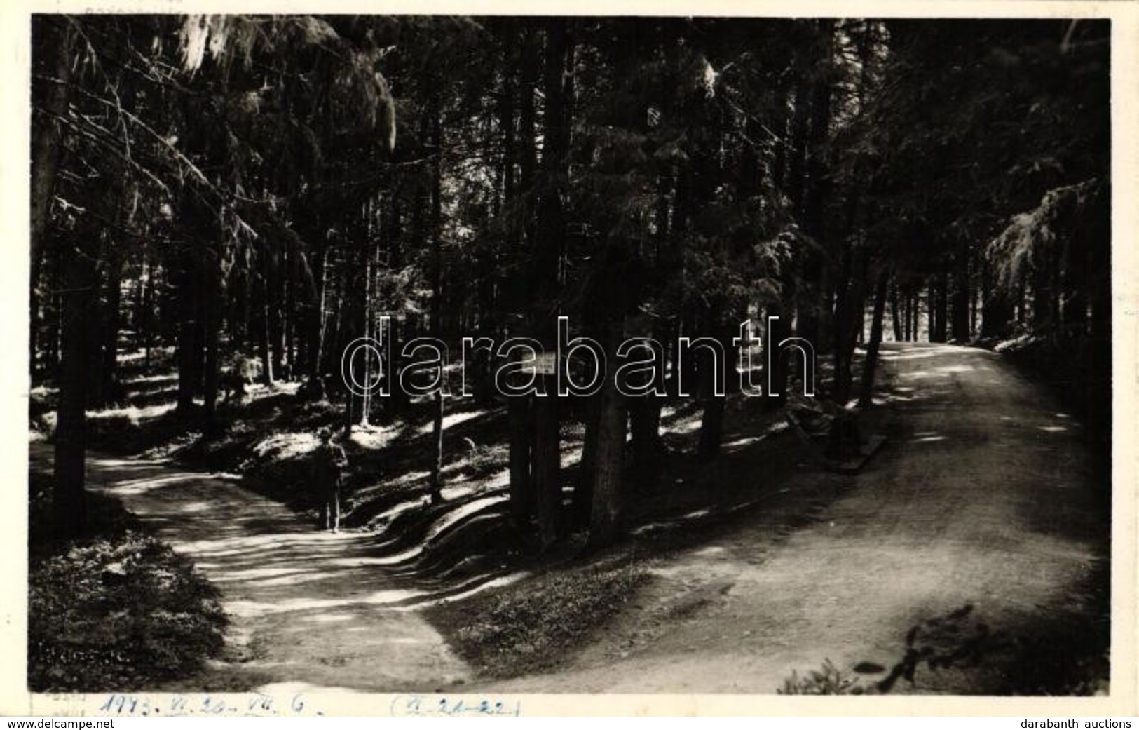 * T2 Borszék, Borsec; Szerelmesek Sétánya / Promenade - Non Classés