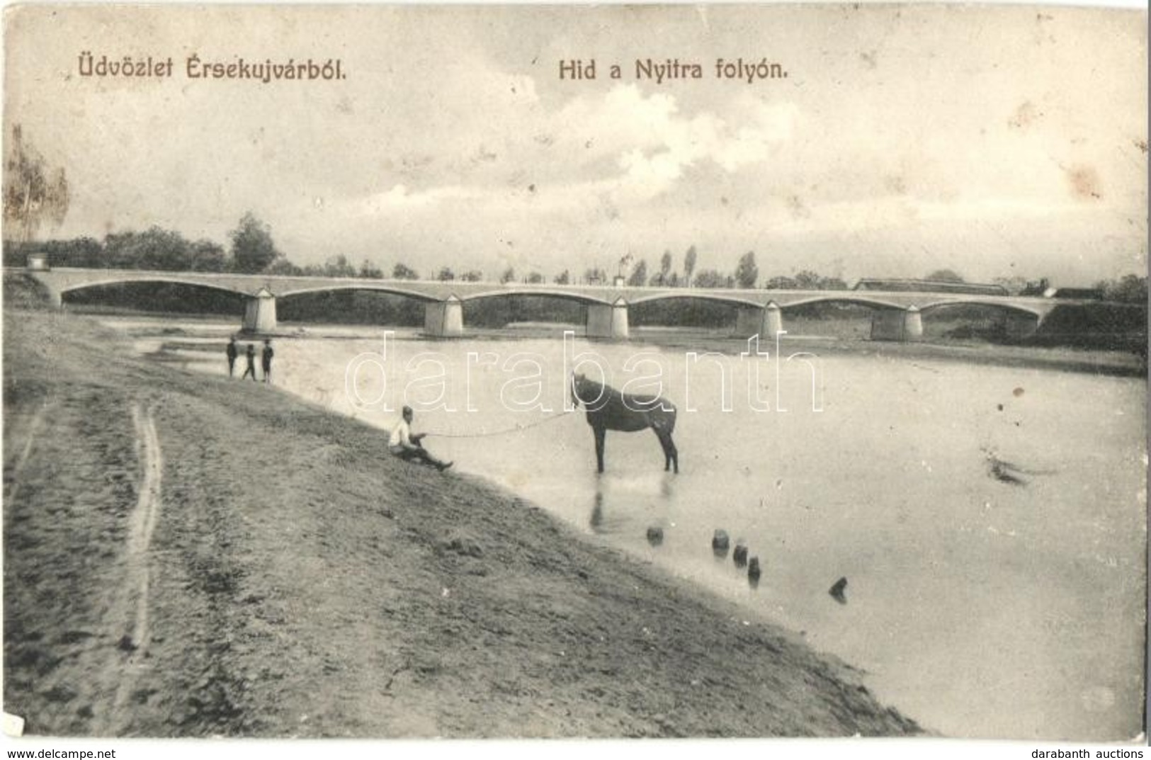 ** T2/T3 Érsekújvár, Nové Zamky; Híd A Nyitra Folyón, Ló. Adler József Kiadása / Nitra Bridge, Horse (EK) - Sin Clasificación