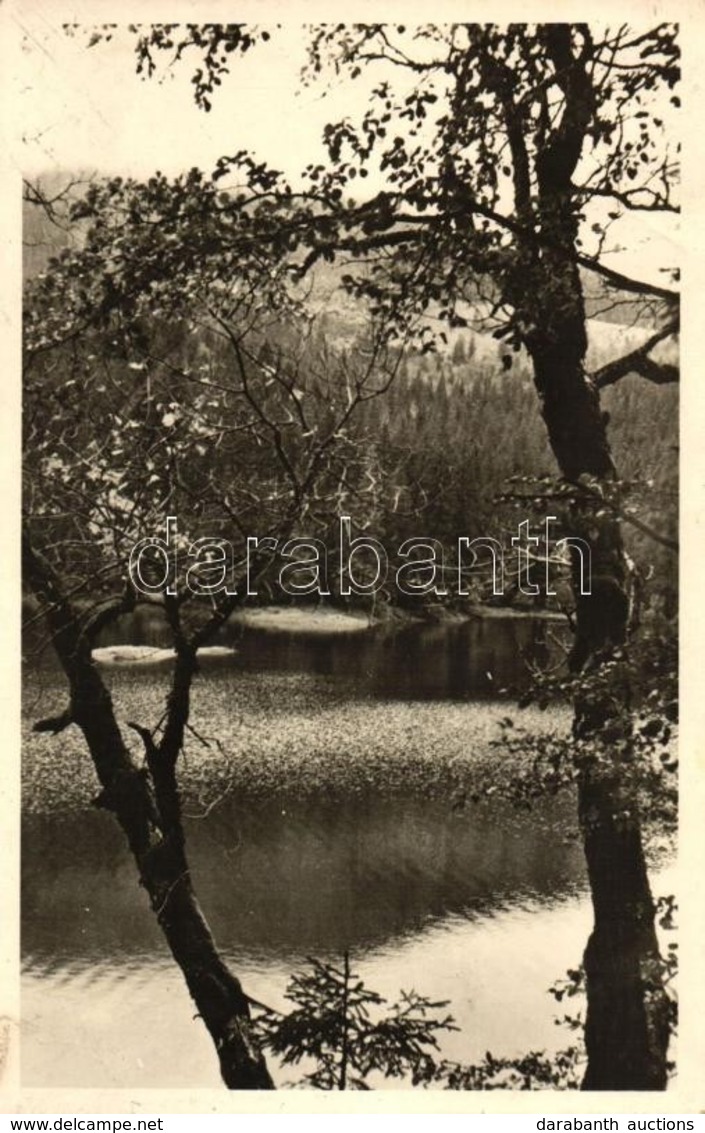 T2 Hoverla, Tengerszem / Lake - Sin Clasificación