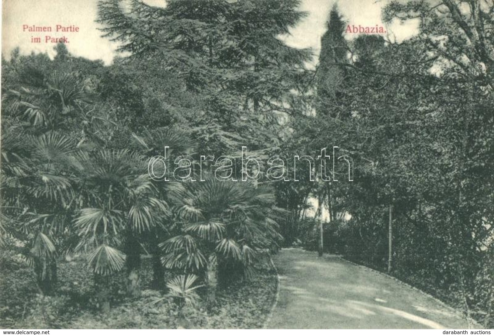 ** T2 Abbazia, Opatija; Palmen Partie Im Parck / Palm Trees In The Park. Divald Károly 678-1909. - Sin Clasificación
