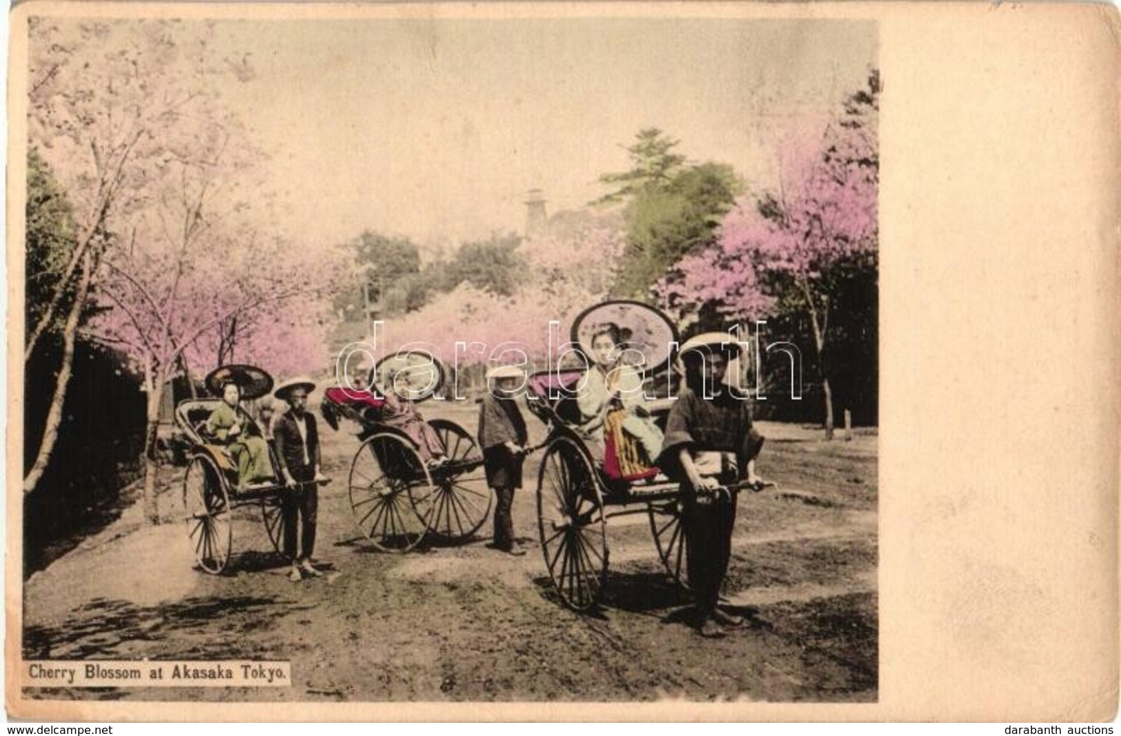 ** T2/T3 Tokyo, Akasaka, Cherry Blossom With Rickshaws (EK) - Unclassified