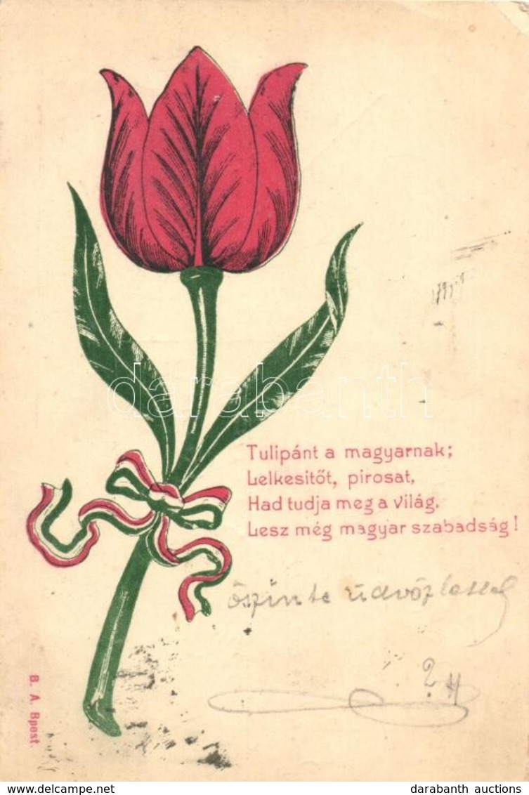 2 Db Régi Tulipános Irredenta Képeslap / 2 Hungarian Pre-1906 Irredenta Art Postcards With Tulips - Sin Clasificación