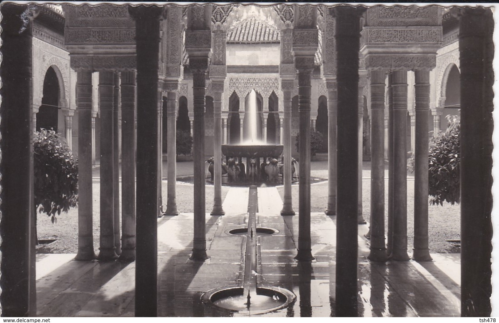 ESPAGNE----GRANADA--la Alhambra Columnas Del Patio De Los Leones--voir 2 Scans - Granada