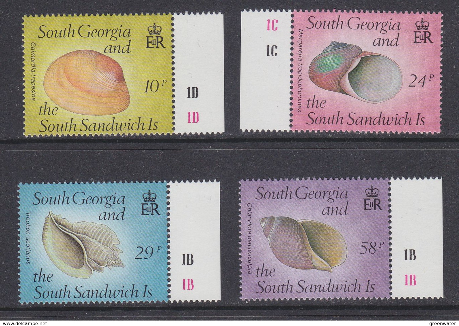 South Georgia 1988 Shells 4v ** Mnh (39452D) - Zuid-Georgia