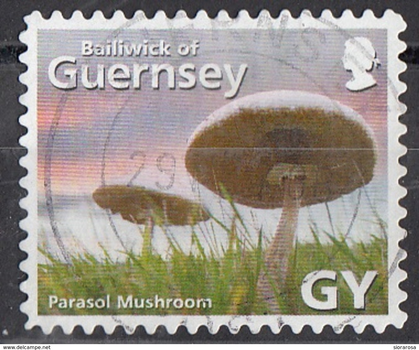 Guernsey 2007 Sc. 925e Mushrooms Funghi Champignons Parasol Mushroom Fungo Parasole Macrolepiota Procera  Micologia - Funghi