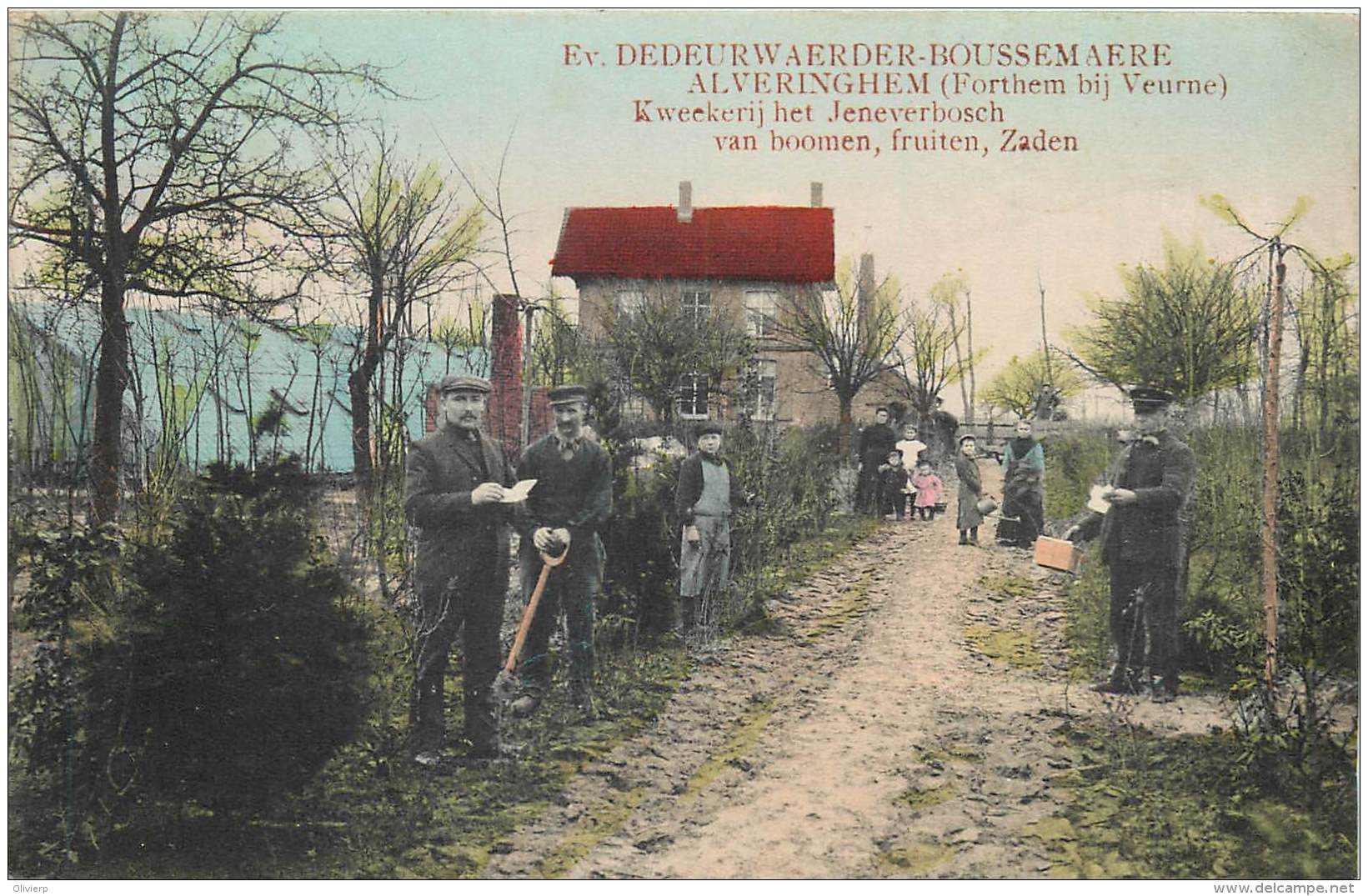 Alveringhem ( Forthem Bij Veurne ) -Dedeurwaerder Boussemaere  - Kweekerij Het Jeneverbosch Van Boomen Fruiten En Zaden - Alveringem