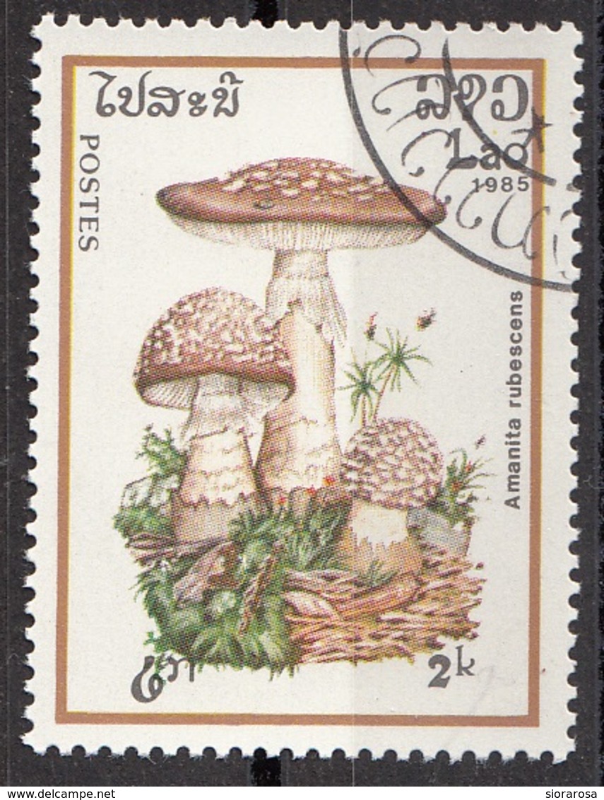 Laos 1985 Sc. 630 Mushrooms Funghi Champignons : Amanita Rubescens  Micologia Lao CTO - Funghi
