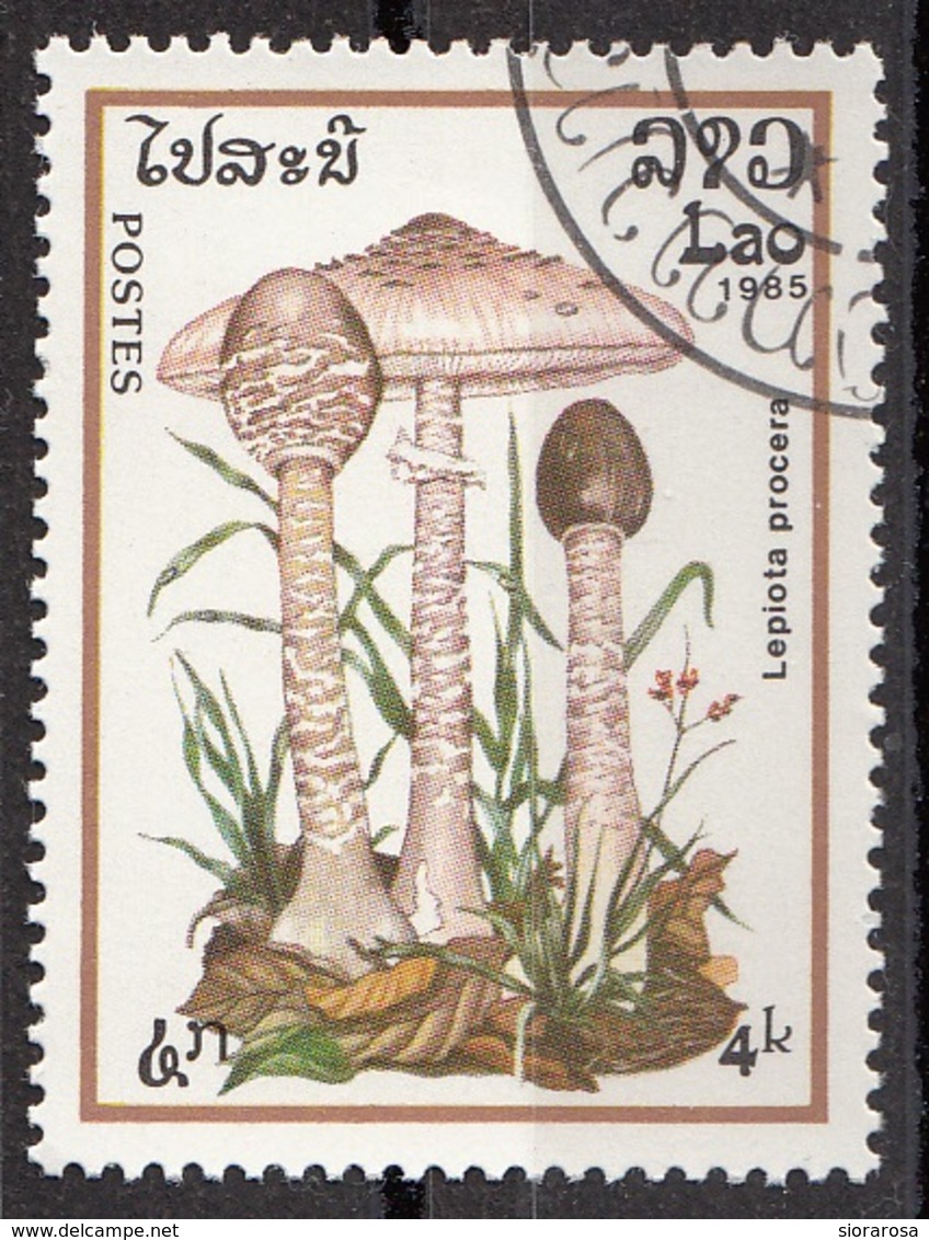 Laos 1985 Sc. 632 Mushrooms Funghi Champignons : Paxillus Lnvolutus Micologia Lao CTO - Funghi