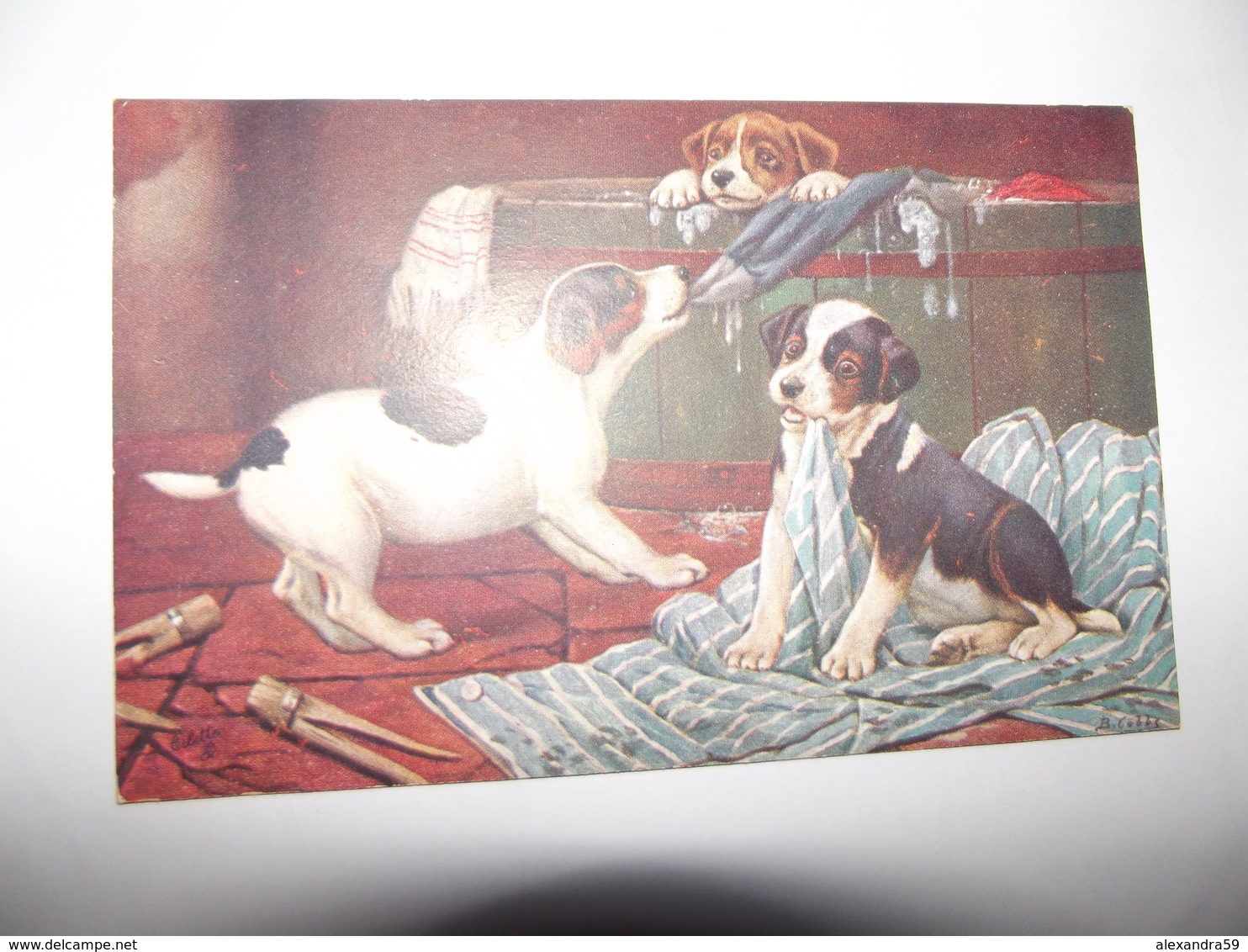 Cpa Animaux Chiens   De Raphael TUCK OILETTE ENGLAND SUPERBE CARTE - Tuck, Raphael