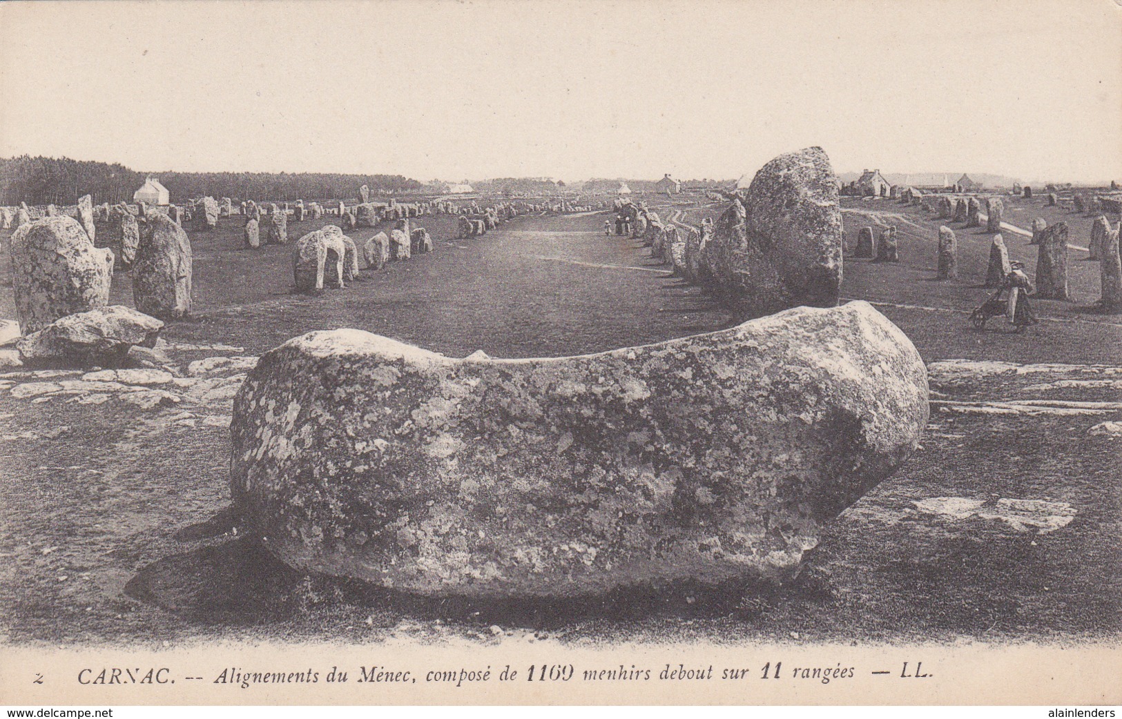 Carnac - Alignement Du Menec. - Carnac