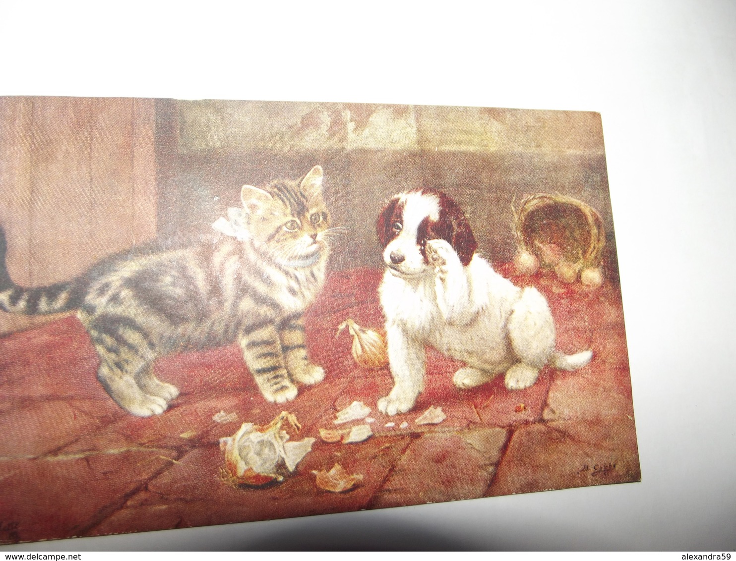 Cpa Animaux Chien Et Chat De Raphael TUCK OILETTE ENGLAND SUPERBE CARTE - Tuck, Raphael