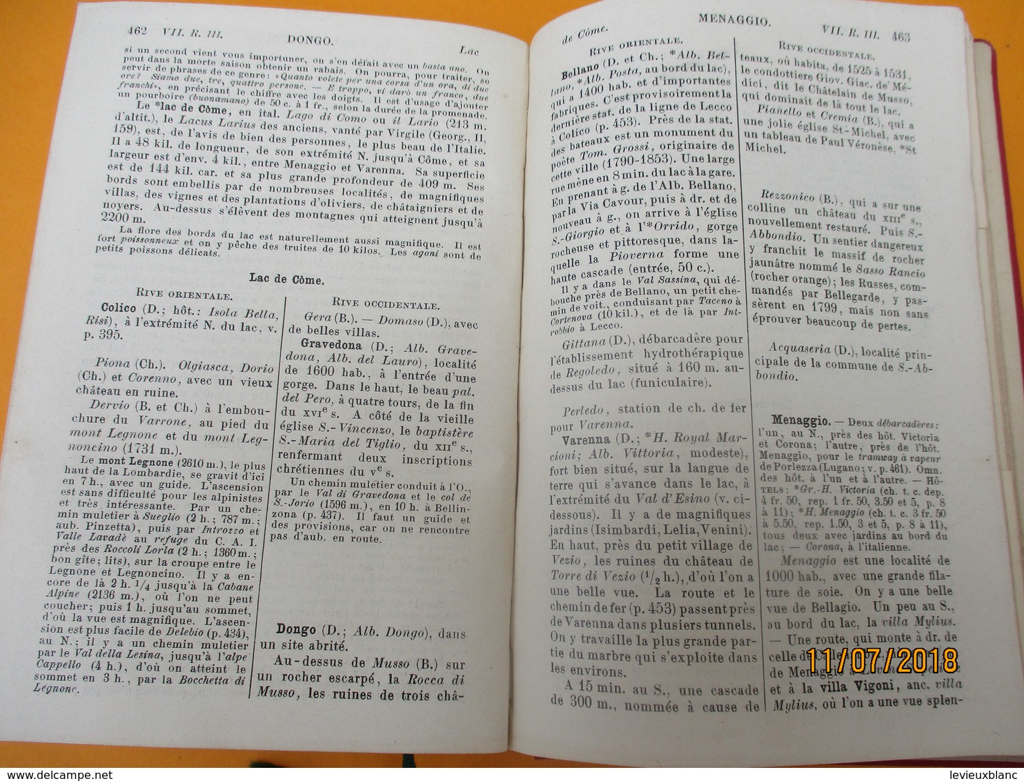 Manuel du voyageur/La SUISSE et les parties limitrophes de la SAVOIE et de l'ITALIE/BAEDEKER/Leipzig/1898         PGC239