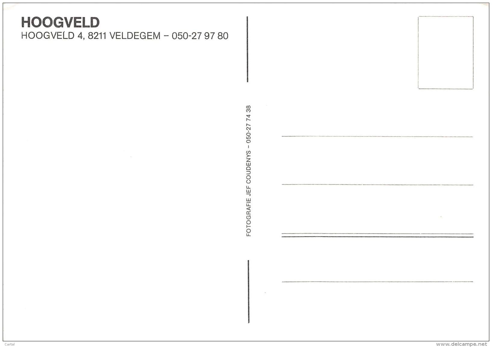 CPM - HOOGVELD - Hoogveld 4, 8211 VELDEGEM - Zedelgem