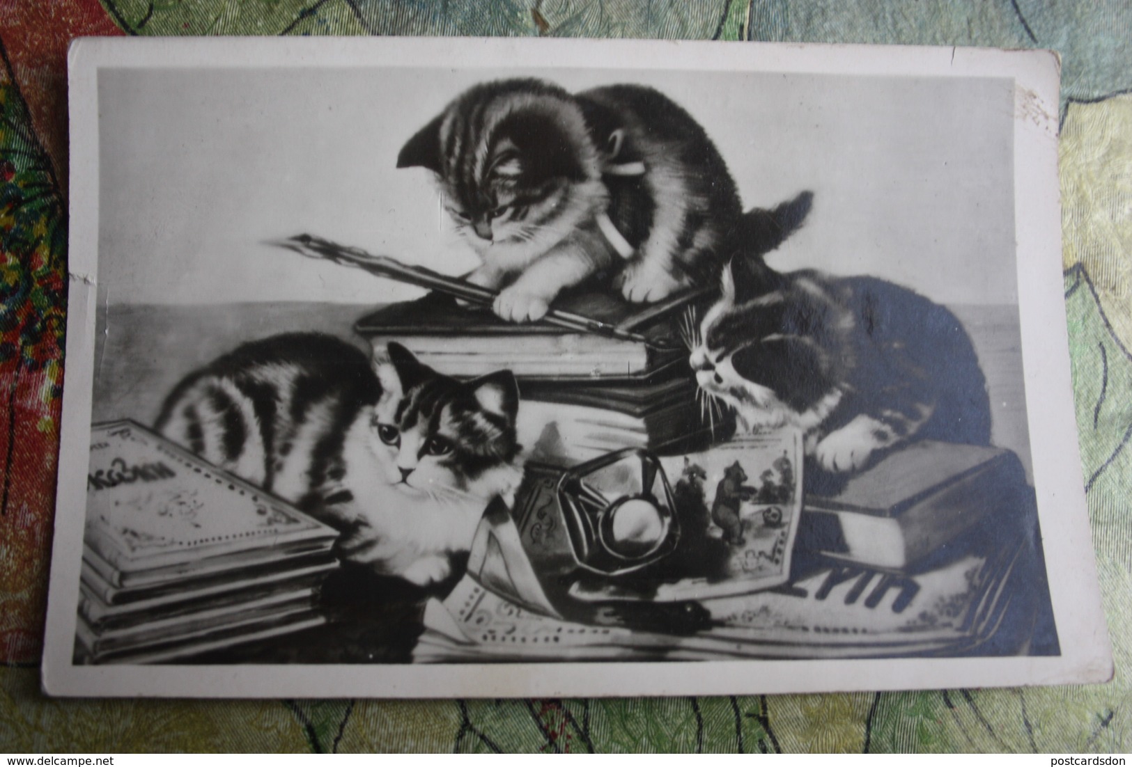 "pranksters' Ittle Kitten - Cat - Chat  - Old Vintage Postcard 1950s - Chats