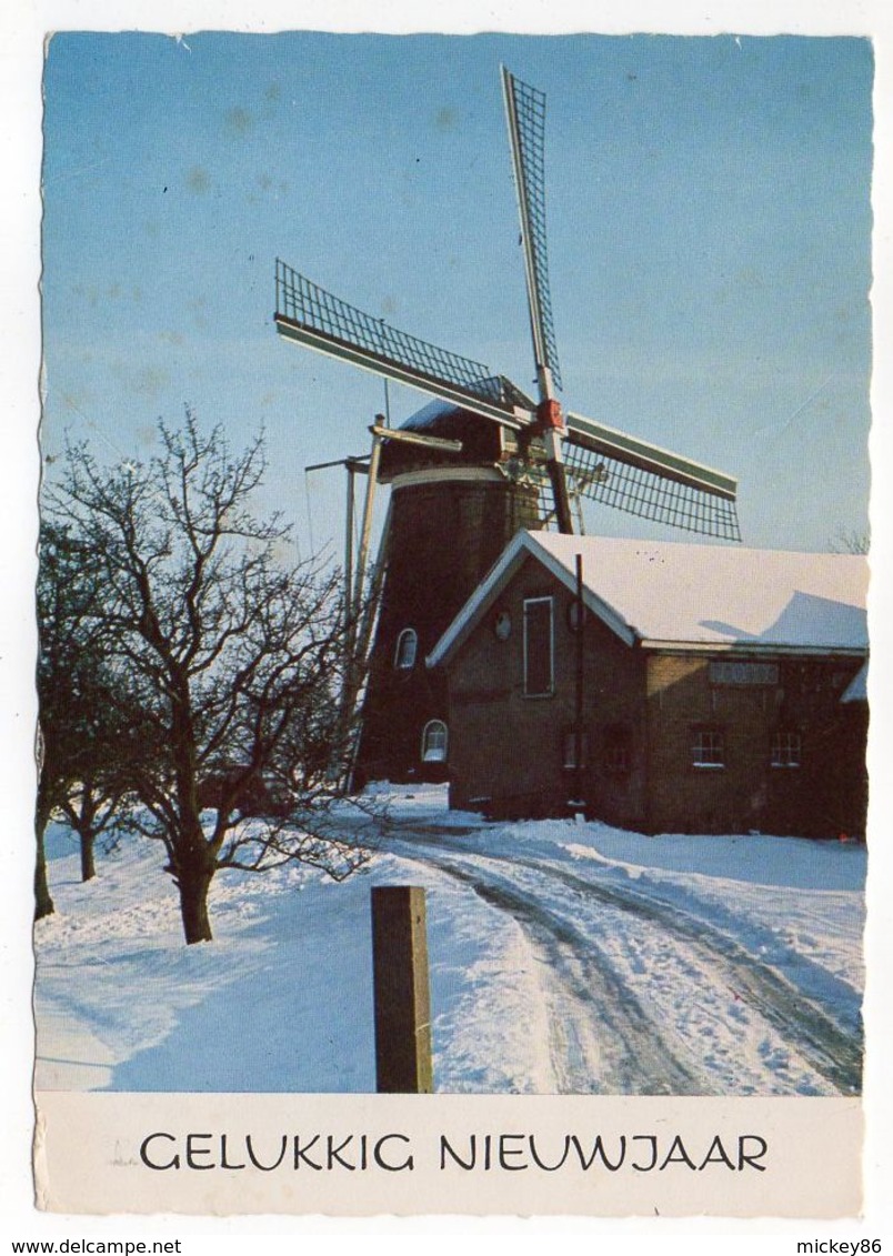 Pays-Bas --HAARLEM --1976--Bonne Année (moulin à Vent )--cachet  Haarlem - Haarlem