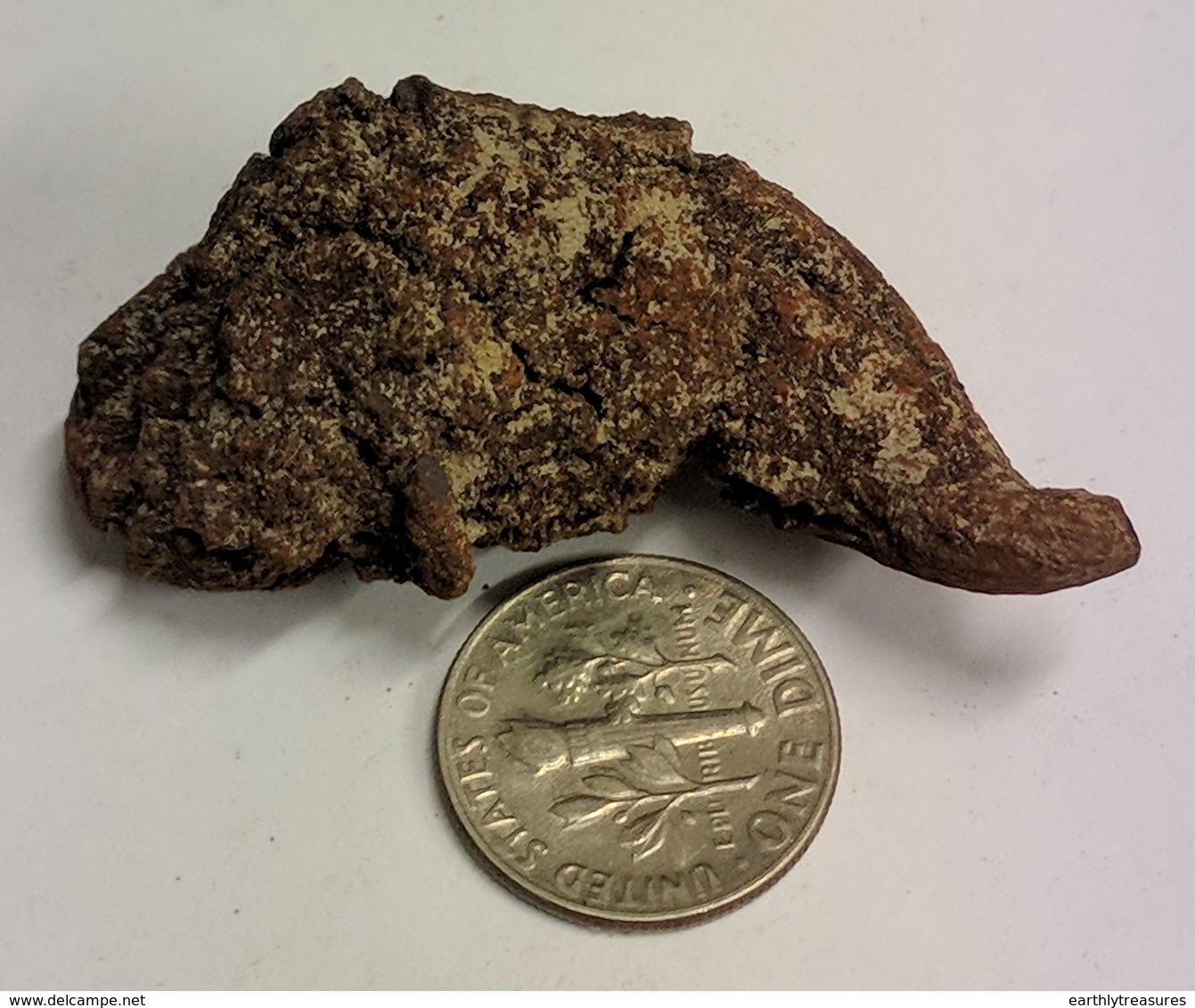 Coprolite DINOSAUR POOP Fossil From Madagascar (#K782) - Fossils