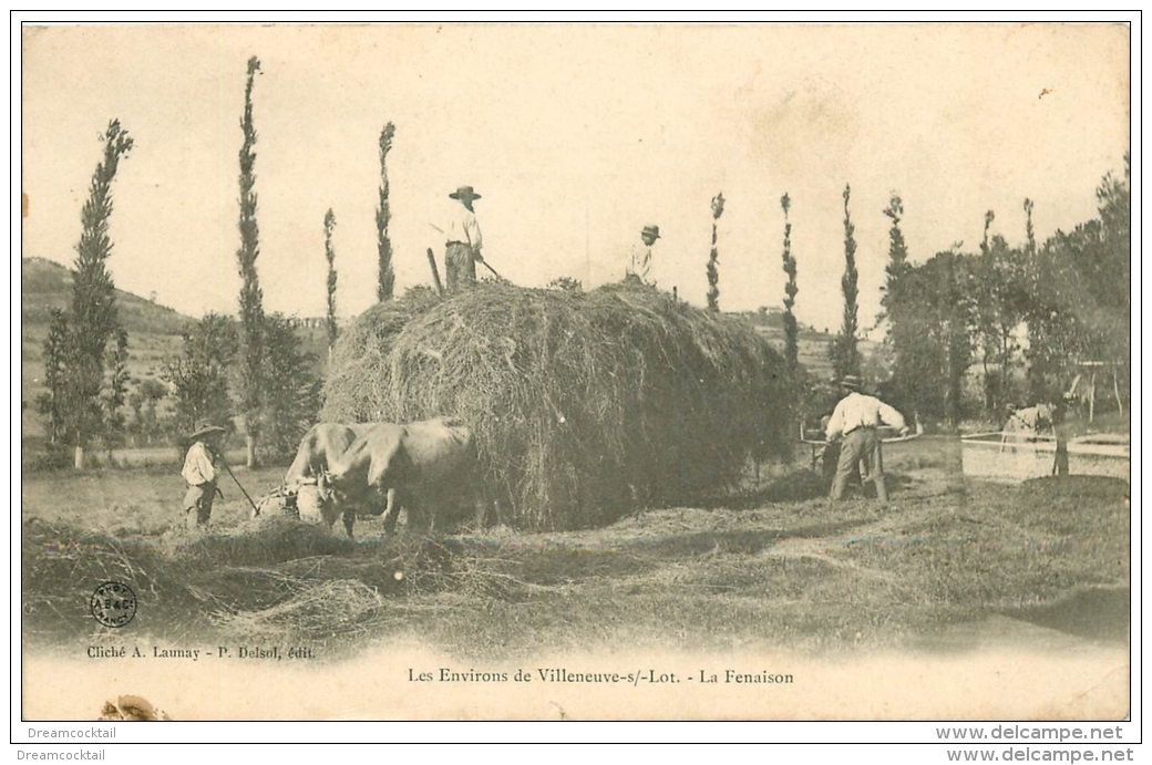 47 VILLENEUVE-SUR-LOT. La Fenaison 1906. Métiers De La Campagne - Villeneuve Sur Lot